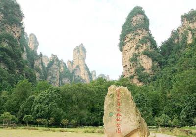 走湘西——張家界、鳳凰古城游記(一)
