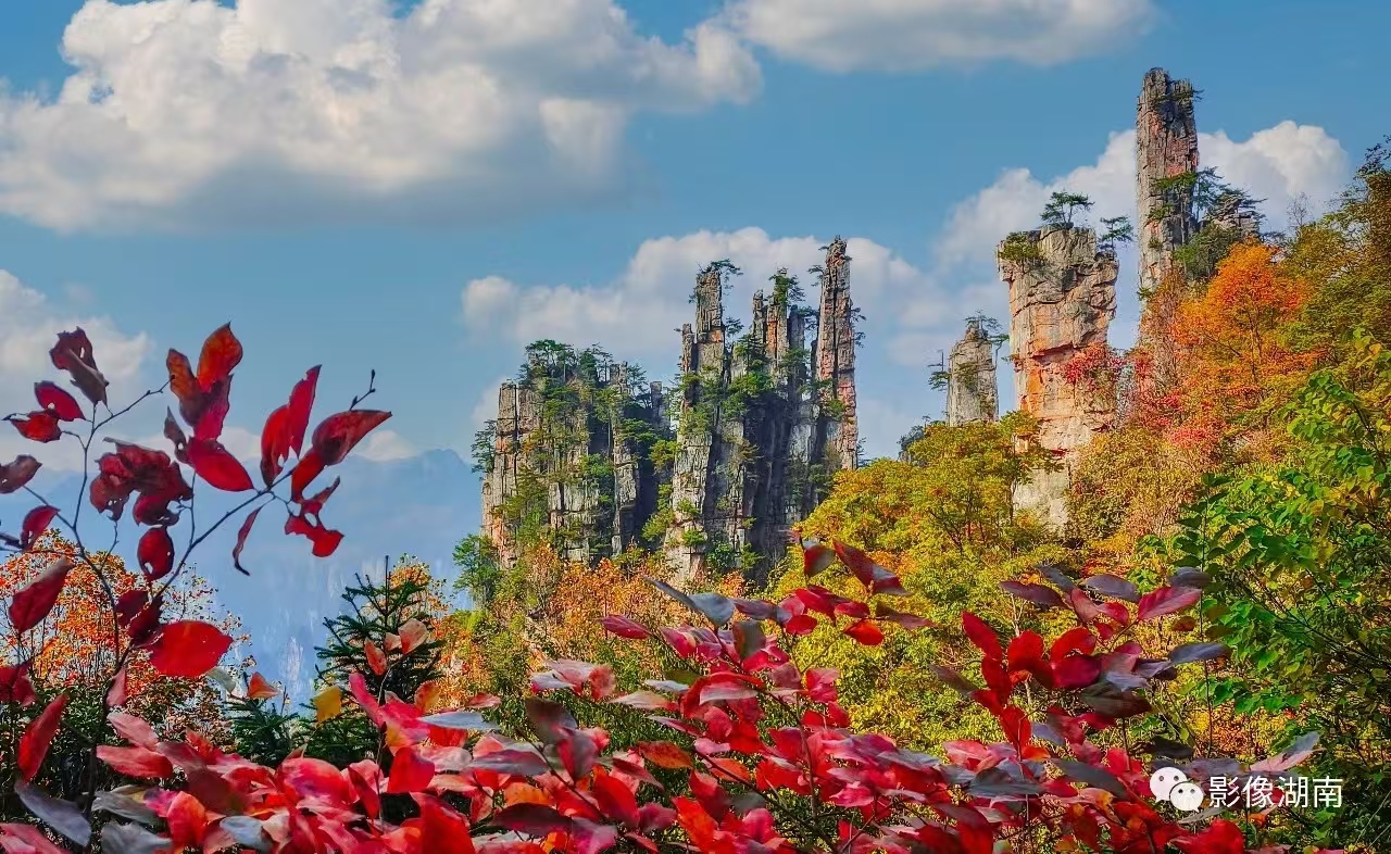 微信圖片_20241106090357 微信圖片_20241106090357