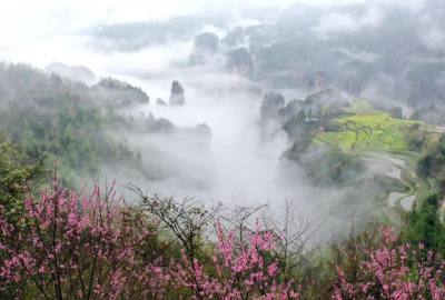 候鳥的選擇，彰顯湖南生態(tài)系統(tǒng)持續(xù)優(yōu)化