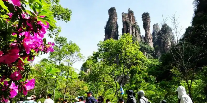 微信圖片_20250507095155